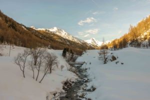 Read more about the article Auf Ötzis Spuren – Indi auf Schneeschuhtour im Schnalstal