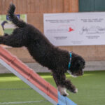 Agility-03-2022-10