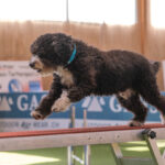 Agility-03-2022-7