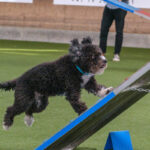 Agility-03-2022-9